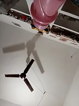 Payal950 online show from 11/15/25, 12:03