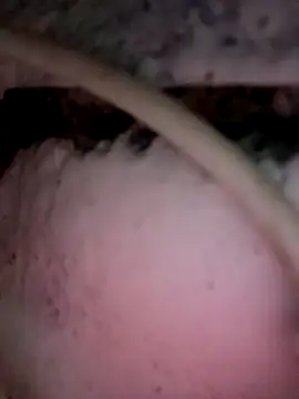 Payal950 online show from 12/03/25, 12:01