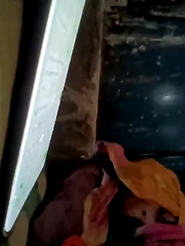 Payal950 online show from 11/16/25, 01:43