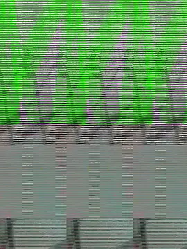 Payal950 online show from 10/22/25, 01:32