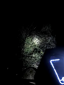 MODEST11 MMiILOO AMARO online show from 11/18/25, 05:33