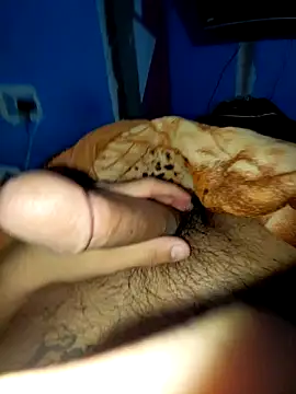 Exotic19cm online show from 12/18/25, 06:29