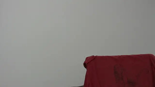 Rocky Muscle online show from 02/05/26, 04:52