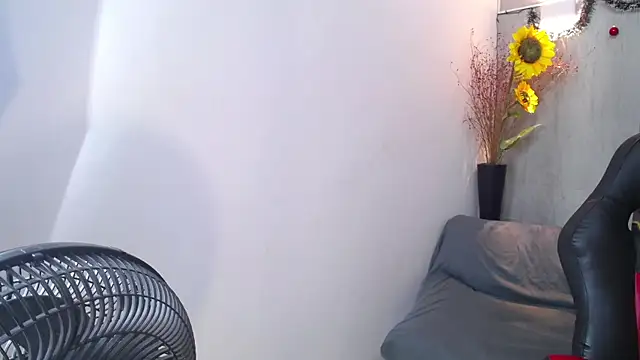 honeymoon 12 online show from 01/17/26, 07:23