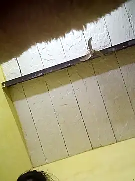 Seema guptaji online show from 11/15/25, 09:19