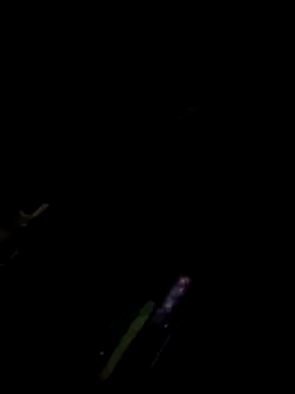 TSPRAJ0 online show from 11/15/25, 05:17