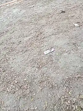 Dasdhon online show from 11/18/25, 10:18