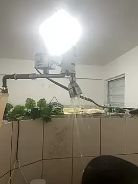 YadielPublic online show from 04/10/26, 12:50