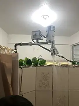 YadielPublic online show from 02/27/26, 12:55