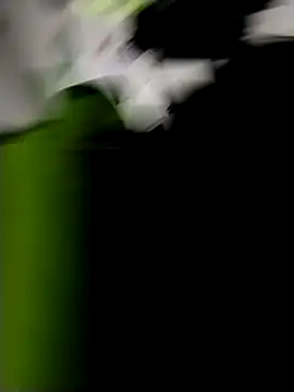 danigarci2307 online show from 10/21/25, 10:31