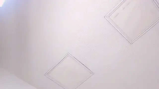 Tyler durten online show from 02/03/26, 03:15