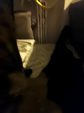 siadxh online show from 02/06/26, 11:45