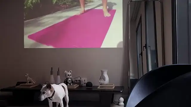 Sir box online show from 09/16/25, 06:09