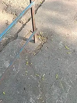 Mr xxx007xh online show from 03/24/26, 09:53