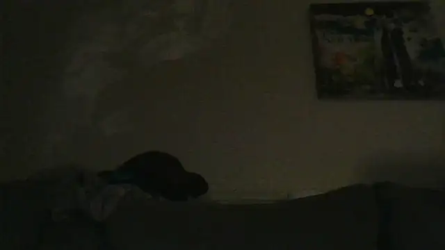 branletteur online show from 10/06/25, 07:53