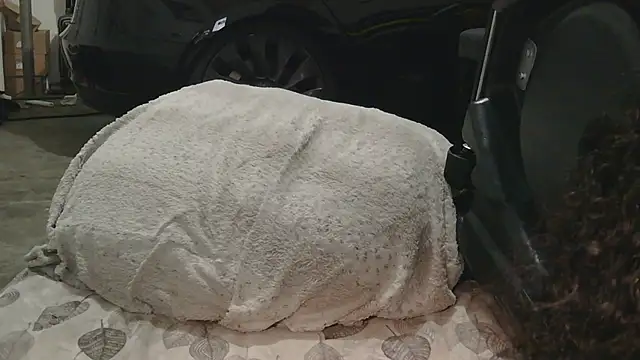 Gmajor online show from 12/15/25, 01:33