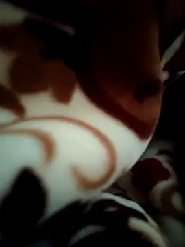 Snapshot of Hot_pooja55 chatting on 02/11/26, 06:57 Hot pooja55 online show from 02/11/26, 06:57