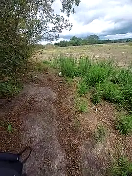 magraocam online show from 11/06/25, 04:11