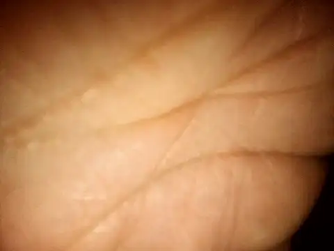 MikeMister online show from 04/07/26, 06:48