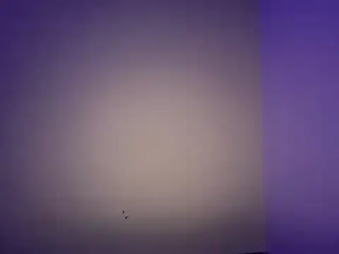 LustyDuoSecrets online show from 11/11/25, 06:25