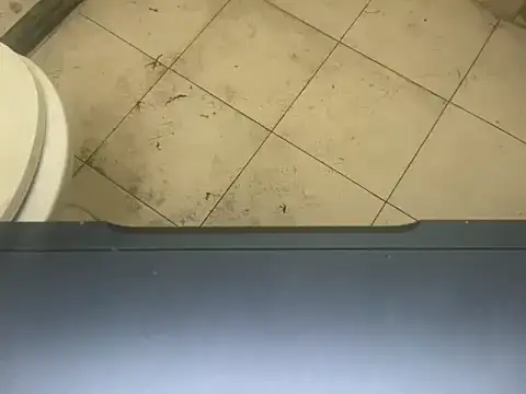 LustyDuoSecrets online show from 11/03/25, 04:32