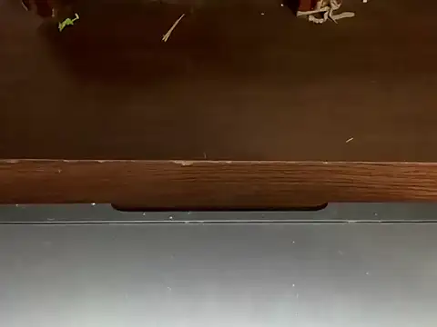 LustyDuoSecrets online show from 04/21/26, 04:46