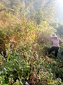 hera-00 online show from 12/19/25, 01:09