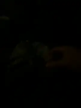 Zyzz89k online show from 06/04/26, 12:04