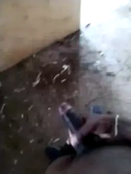 SK 21 online show from 02/24/26, 08:48