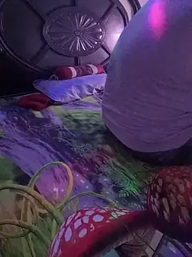 payal 261072  online show from 10/27/25, 07:53