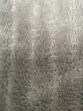 HeerStd online show from 11/20/25, 04:46