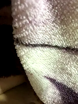 anhyeucuaemdayne online show from 11/09/25, 05:06