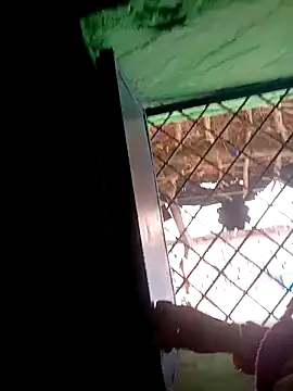 Manavi x online show from 11/15/25, 10:30