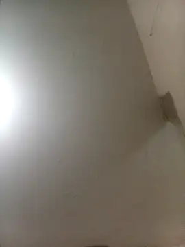 Bebicho14 online show from 04/04/26, 05:47