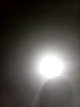 Bebicho14 online show from 04/05/26, 04:41