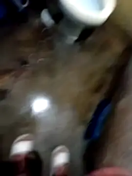 Bebicho14 online show from 04/12/26, 06:38