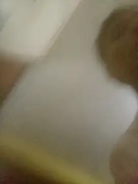 Bebicho14 online show from 02/08/26, 06:22