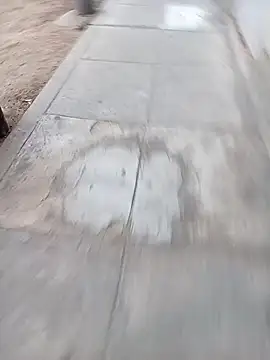 Bebicho14 online show from 02/12/26, 11:10