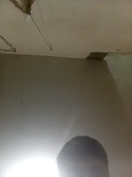 Bebicho14 online show from 03/18/26, 08:39