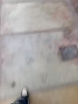 Bebicho14 online show from 02/11/26, 11:21