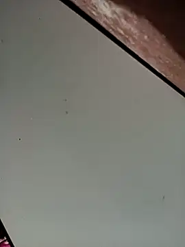 Bebicho14 online show from 11/16/25, 05:23