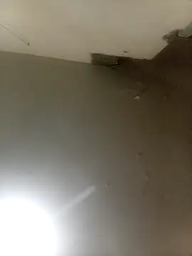 Bebicho14 online show from 09/16/25, 05:19