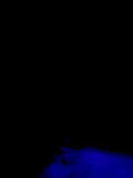 Jbames4567 online show from 09/21/25, 01:22