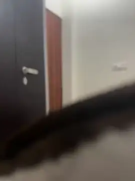 DJLOVE280825 online show from 02/09/26, 07:50