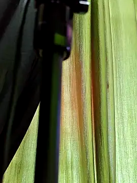 chocolate alone online show from 11/10/25, 06:51