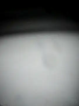 hana9998 online show from 09/11/25, 12:54