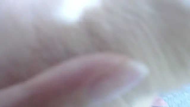 karla lopes online show from 12/14/25, 12:55