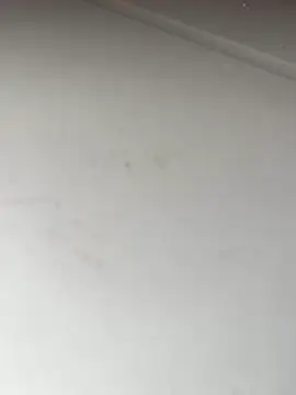 Bandidasexy22 online show from 10/24/25, 02:27