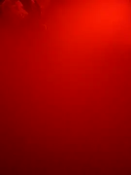 Snapshot of Dropdingo chatting on 10/09/25, 10:16 Dropdingo online show from 10/09/25, 10:16