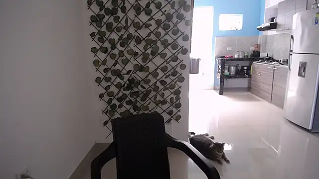 yohacriss online show from 12/15/25, 04:46